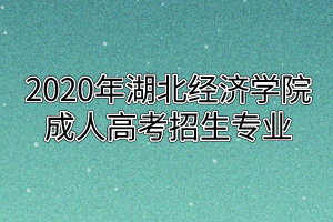 湖北经济学院成人高考招生专业